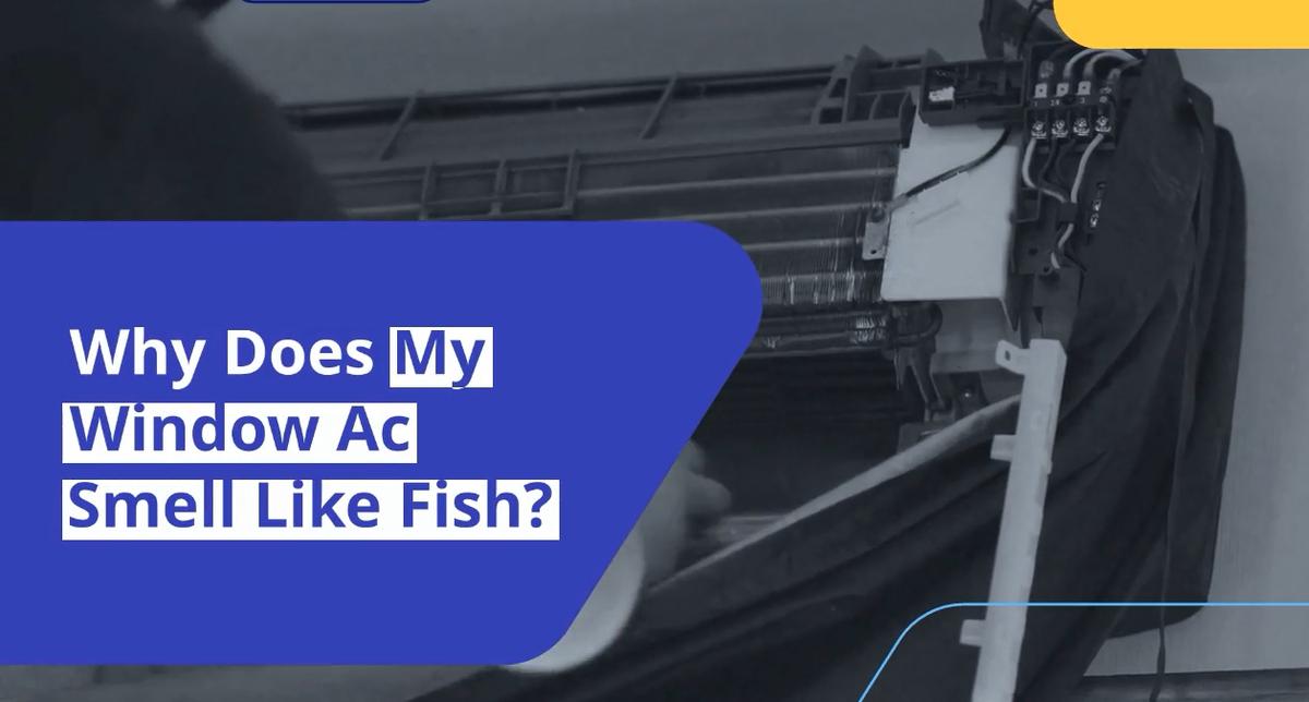 The Shocking Truth About Your Fishy AC Smell