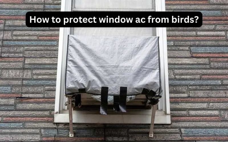 How to protect window ac from birds