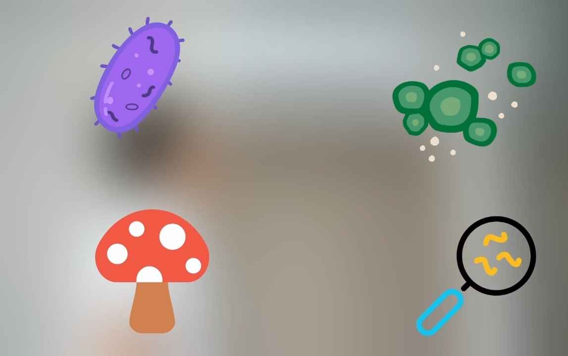 Can Air Conditioner Cause Ear Infection?