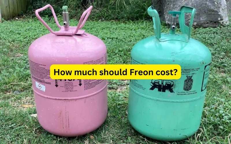How much should Freon cost