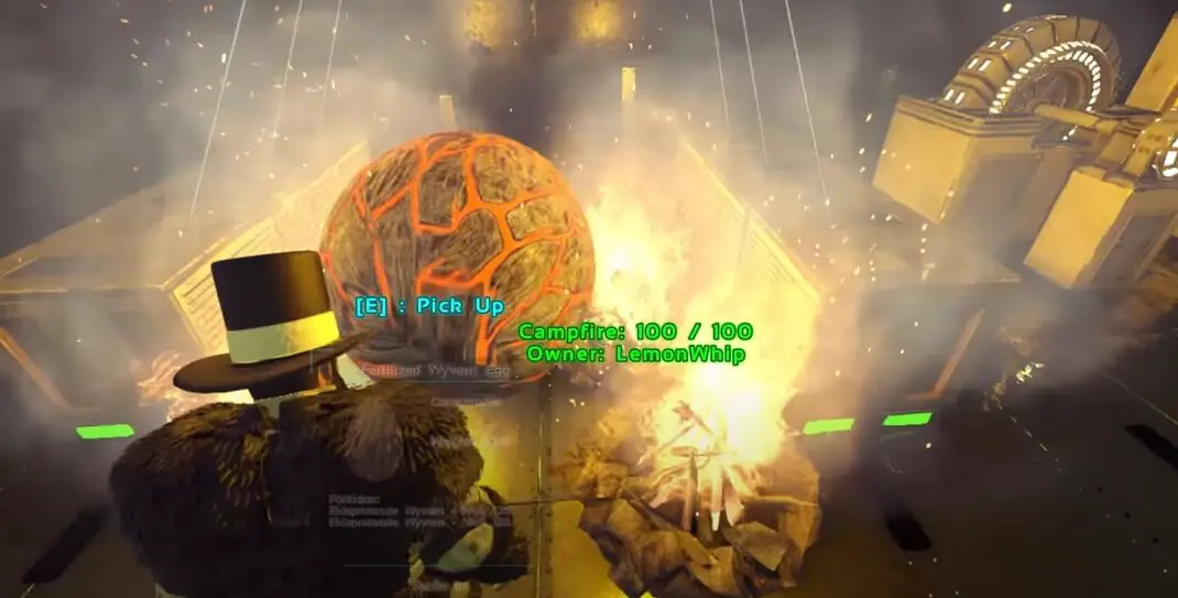 Can You Use Air Conditioners To Hatch Wyvern Eggs?