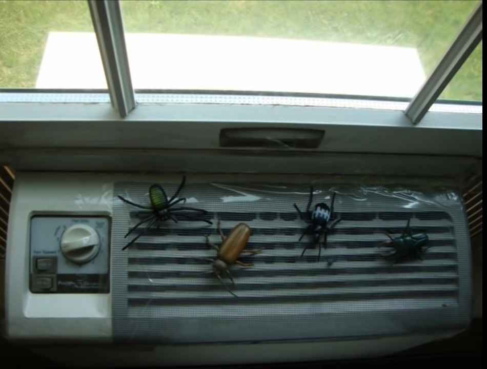 Does Ac Keep Bugs Away? You Should Know This Smart AC Solutions