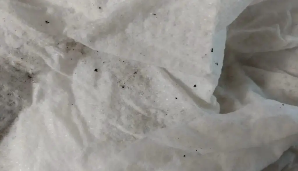 What Are Black Specks Coming Out Of Wall Air Conditioner?