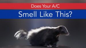 Skunk Smell Coming Through Window Air Conditioner?