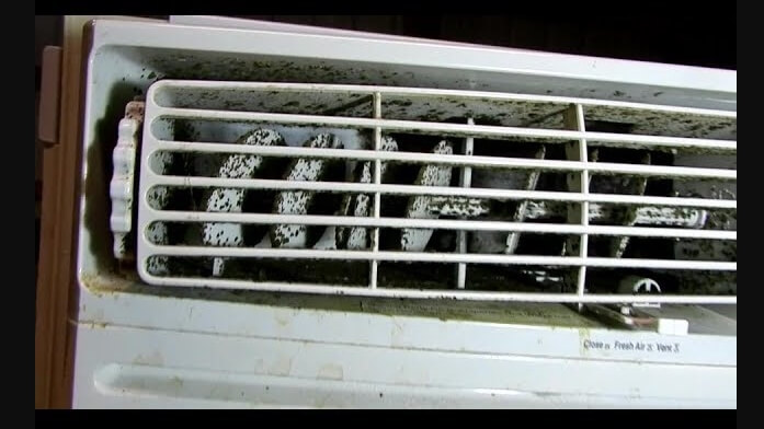 How to Clean Black Mold Out of Air Conditioner