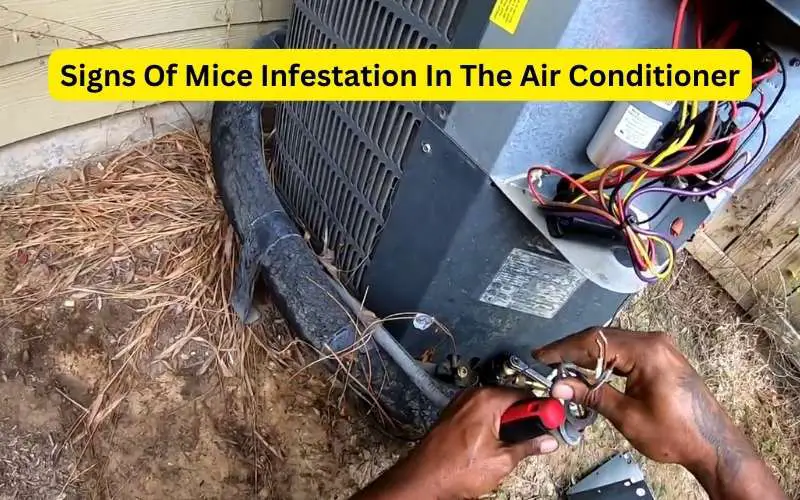 Signs Of Mice Infestation In The Air Conditioner