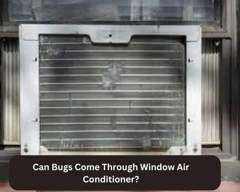 Can Bugs Come Through Window Air Conditioner?