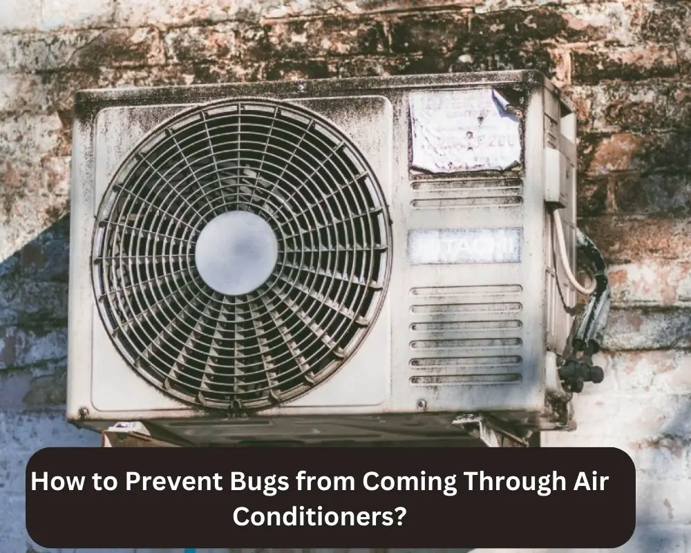 How to Prevent Bugs from Coming Through Air Conditioners?