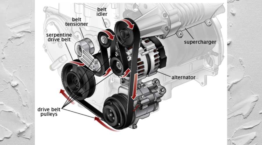 What Components Are Driven By The Serpentine Belt