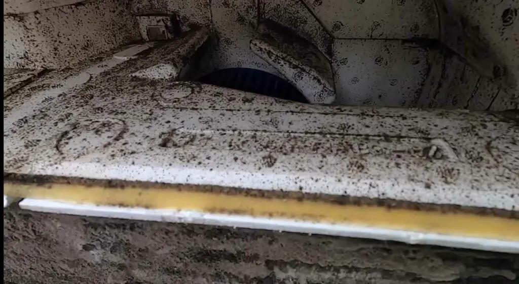 Is Mold in AC Black Mold